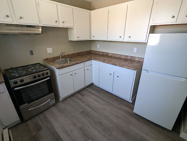 Saskatoon 1 bedrooms Apartment for rent. Property photo: 294136-3