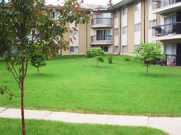 Red Deer 1 bedrooms Apartment for rent. Property photo: 294374-3