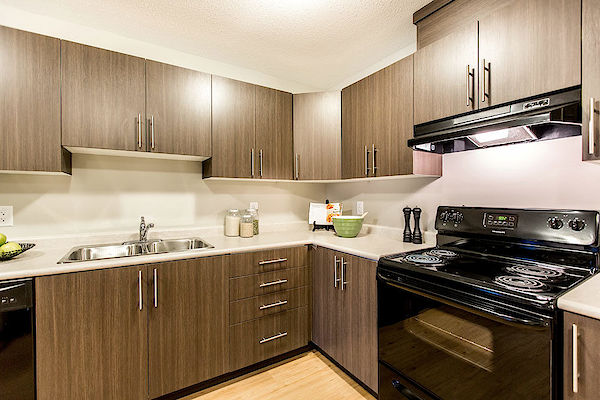 Winnipeg 2 bedrooms Apartment for rent. Property photo: 294459-3