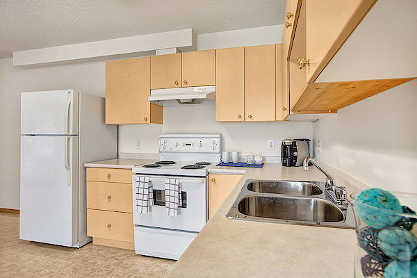 Winnipeg 1 bedrooms Apartment for rent. Property photo: 295165-3