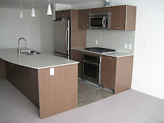 Edmonton 1 bedroom Condo for rent. Property photo: 300549-3