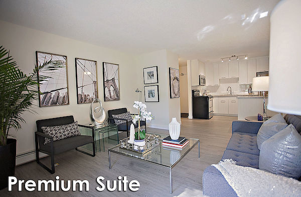 Saskatoon 1 bedrooms Apartment for rent. Property photo: 301348-2