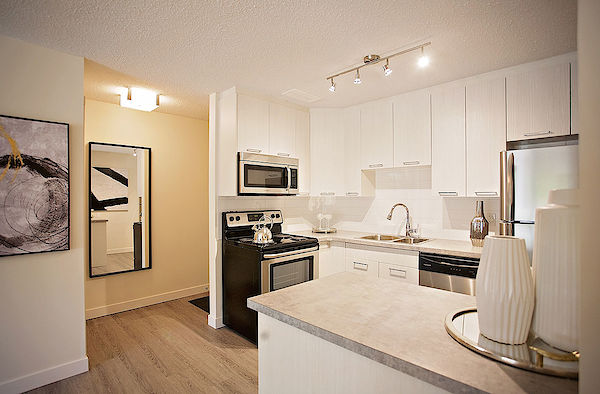 Saskatoon 1 bedrooms Apartment for rent. Property photo: 301348-3