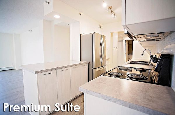 Saskatoon 1 bedrooms Apartment for rent. Property photo: 301440-3