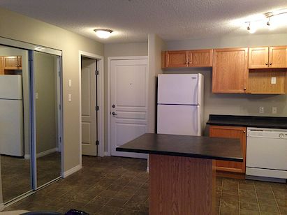 Edmonton 2 bedrooms Condo for rent. Property photo: 301542-2