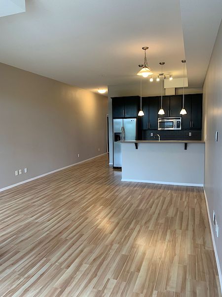 Edmonton 1 bedroom Condo Unit for rent. Property photo: 302409-3