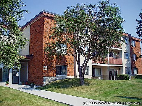 Edmonton 1 bedroom Apartment for rent. Property photo: 303424-1