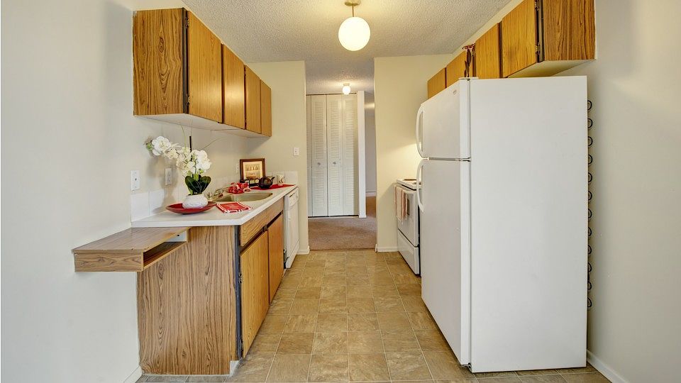 Edmonton Pet Friendly Apartment For Rent Duggan Park