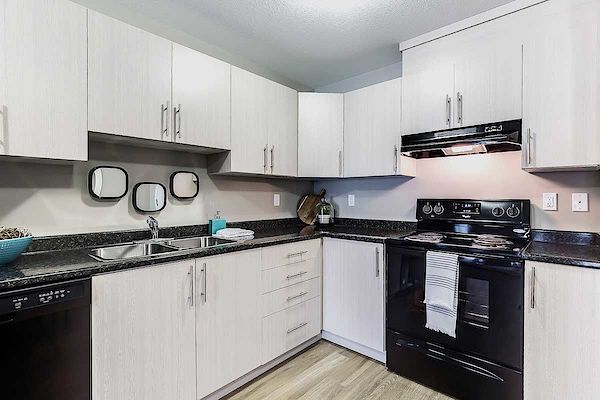 Regina 2 bedrooms Apartment for rent. Property photo: 305816-3