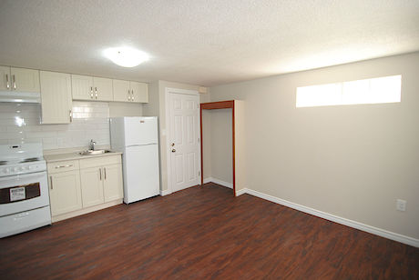Edmonton 1 bedroom Basement for rent. Property photo: 307933-3