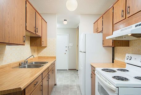 Edmonton 1 bedroom Apartment for rent. Property photo: 310184-3