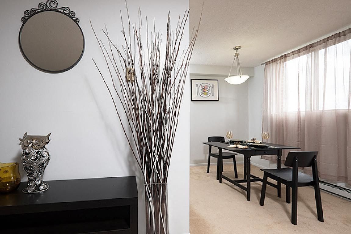 Ottawa bachelor bedrooms Apartment for rent. Property photo: 311086-1