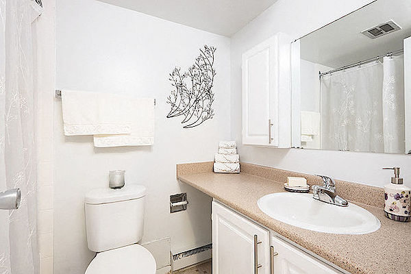 Ottawa bachelor bedrooms Apartment for rent. Property photo: 311086-2