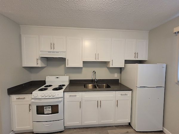 Edmonton 1 bedroom Apartment for rent. Property photo: 312367-3
