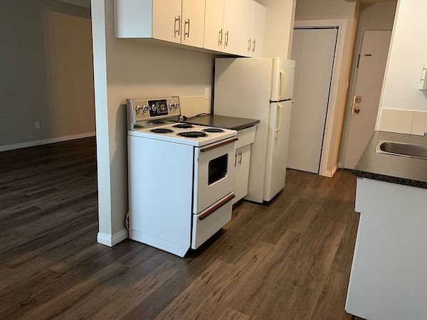 Edmonton 1 bedrooms Apartment for rent. Property photo: 312375-3