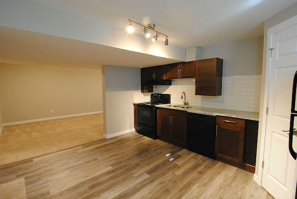 Edmonton 3 bedrooms Basement for rent. Property photo: 314953-2