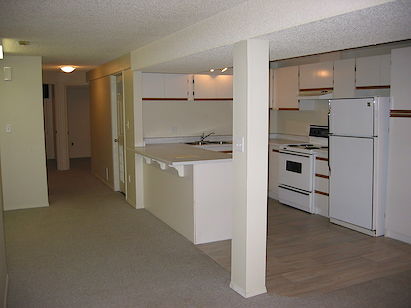 Edmonton 2 bedrooms Basement for rent. Property photo: 319016-2
