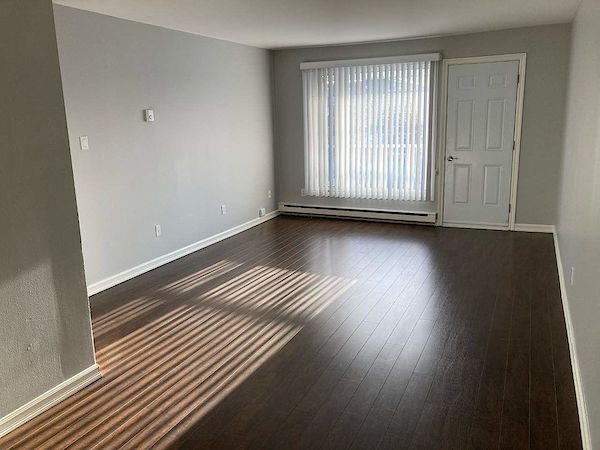 St. John's 2 bedrooms Apartment for rent. Property photo: 321118-3