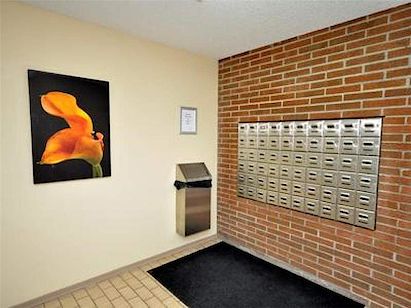 Kitchener 1 bedrooms Apartment for rent. Property photo: 330226-2
