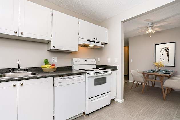 Sherwood Park 1 bedroom Apartment for rent. Property photo: 330932-1