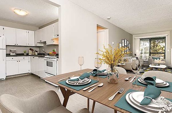 Sherwood Park 1 bedroom Apartment for rent. Property photo: 330932-2