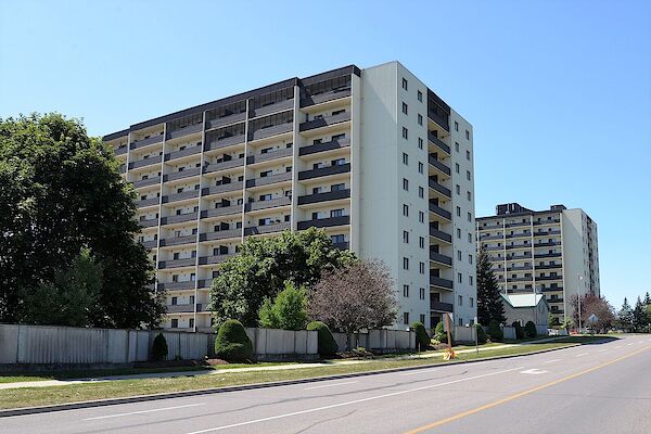 Kingston 2 bedrooms Apartment for rent. Property photo: 331025-2