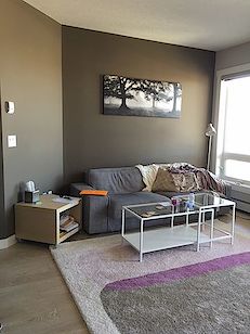 Edmonton 1 bedroom Condo for rent. Property photo: 331213-2