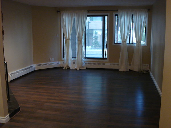 Edmonton 1 bedroom Condo for rent. Property photo: 334069-3