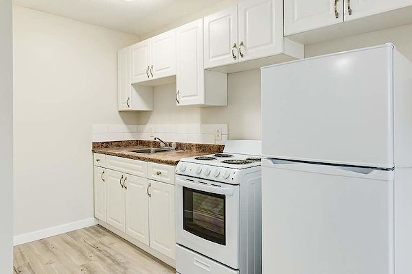 Edmonton 1 bedroom Apartment for rent. Property photo: 334142-3