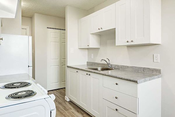 Edmonton 2 bedrooms Apartment for rent. Property photo: 334148-3