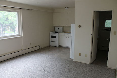Saskatoon 1 bedroom Apartment for rent. Property photo: 335105-3