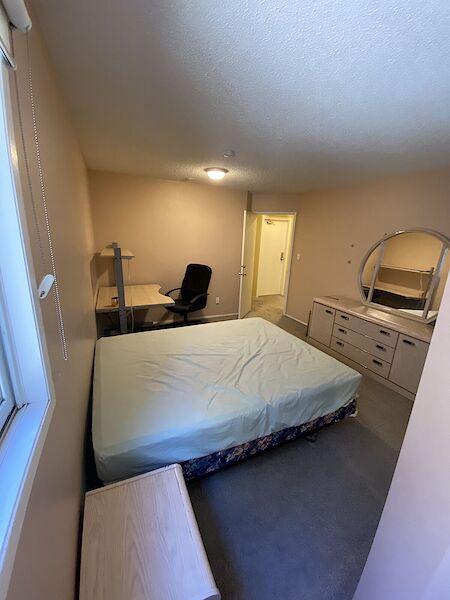 Edmonton 4 bedrooms Room For Rent for rent. Property photo: 338340-3