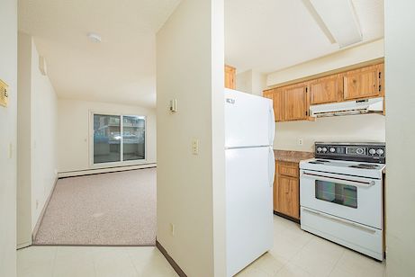 Edmonton 2 bedrooms Apartment for rent. Property photo: 339658-3