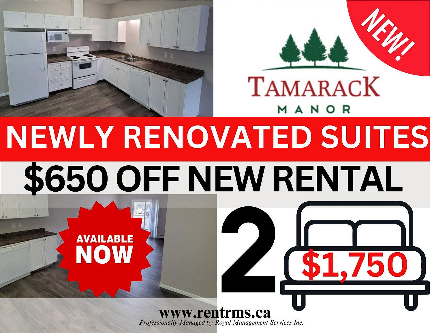 Edmonton 2 bedrooms Apartment for rent. Property photo: 340737-1
