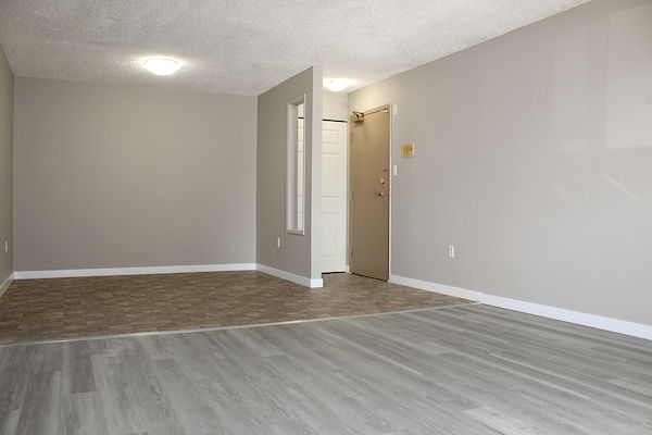 Saskatoon 1 bedrooms Apartment for rent. Property photo: 346742-3