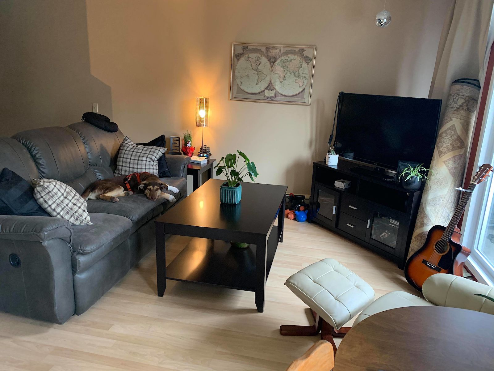 Calgary Pet Friendly Shared For Rent | Mission | Pets ...