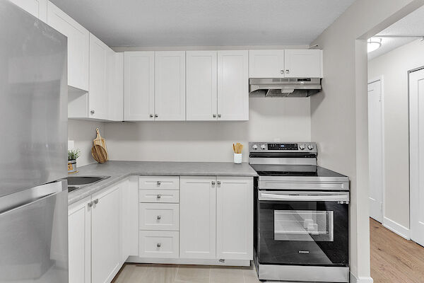 Kingston 1 bedroom Apartment for rent. Property photo: 351283-3