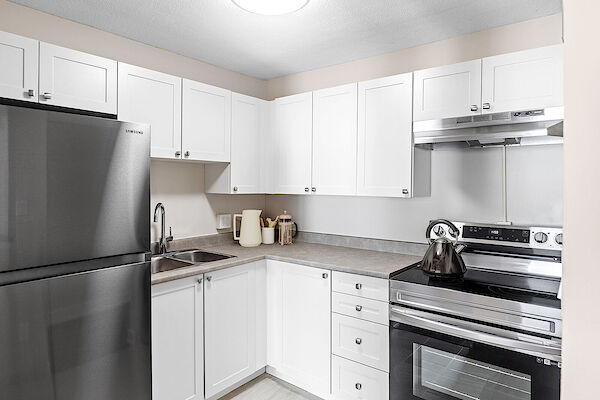 Kingston 1 bedroom Apartment for rent. Property photo: 351290-3