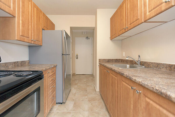 Kingston 1 bedrooms Apartment for rent. Property photo: 351291-3