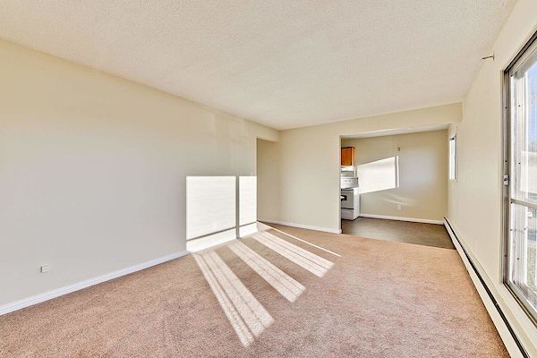 Edmonton 1 bedroom Apartment for rent. Property photo: 383392-2
