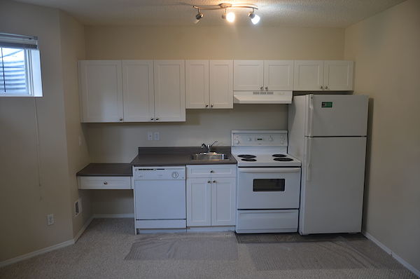 Edmonton 1 bedroom Basement for rent. Property photo: 390221-3