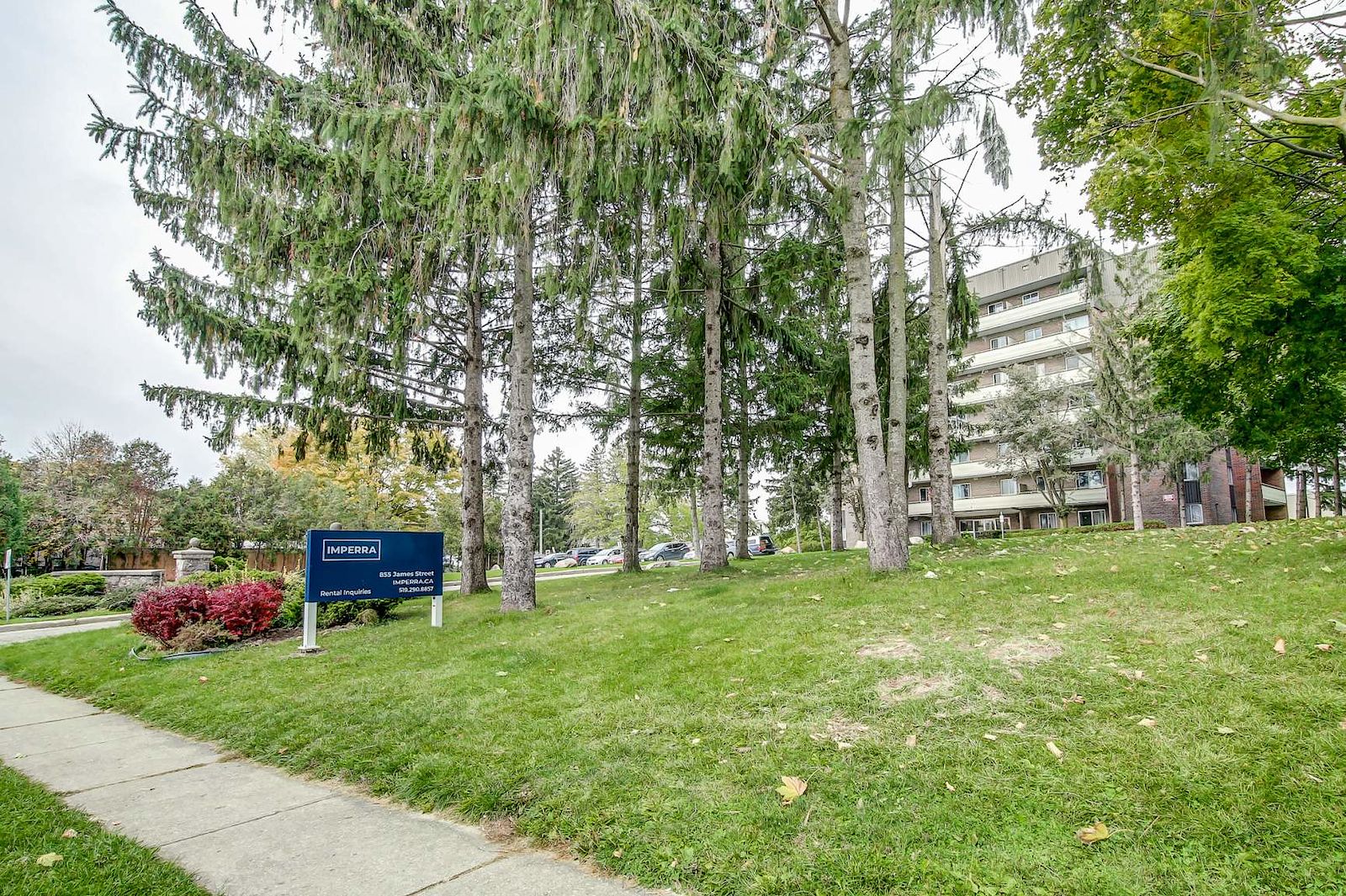Woodstock 1 bedrooms Apartment for rent. Property photo: 393093-1