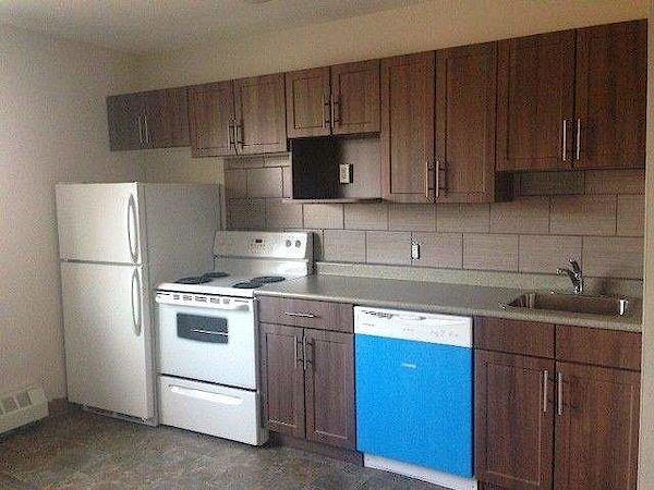 Winnipeg 1 bedroom Apartment for rent. Property photo: 397169-2