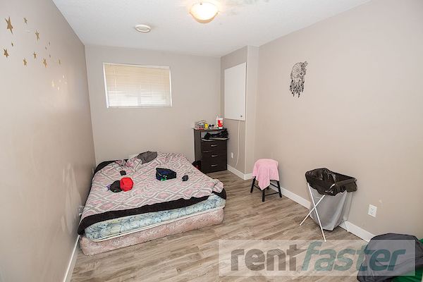 Edmonton Pet Friendly Basement For Rent | Prince Charles ...