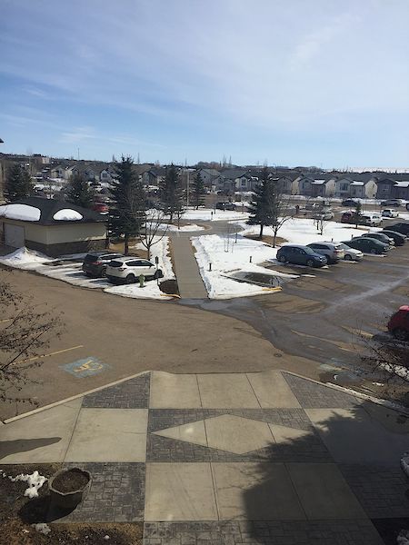 Red Deer 2 bedrooms Apartment for rent. Property photo: 403356-2