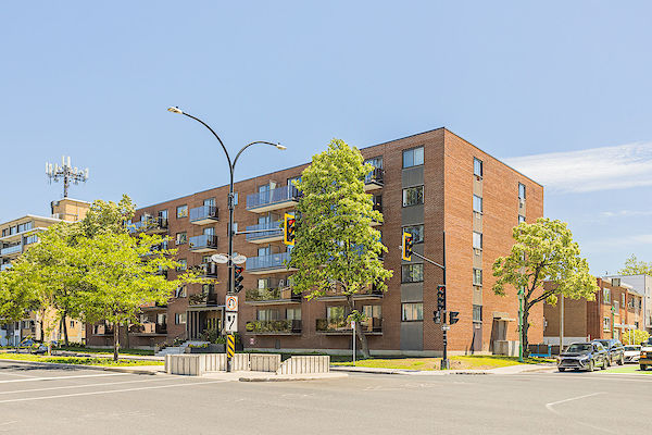 Montréal 1 bedroom Apartment for rent. Property photo: 403767-3