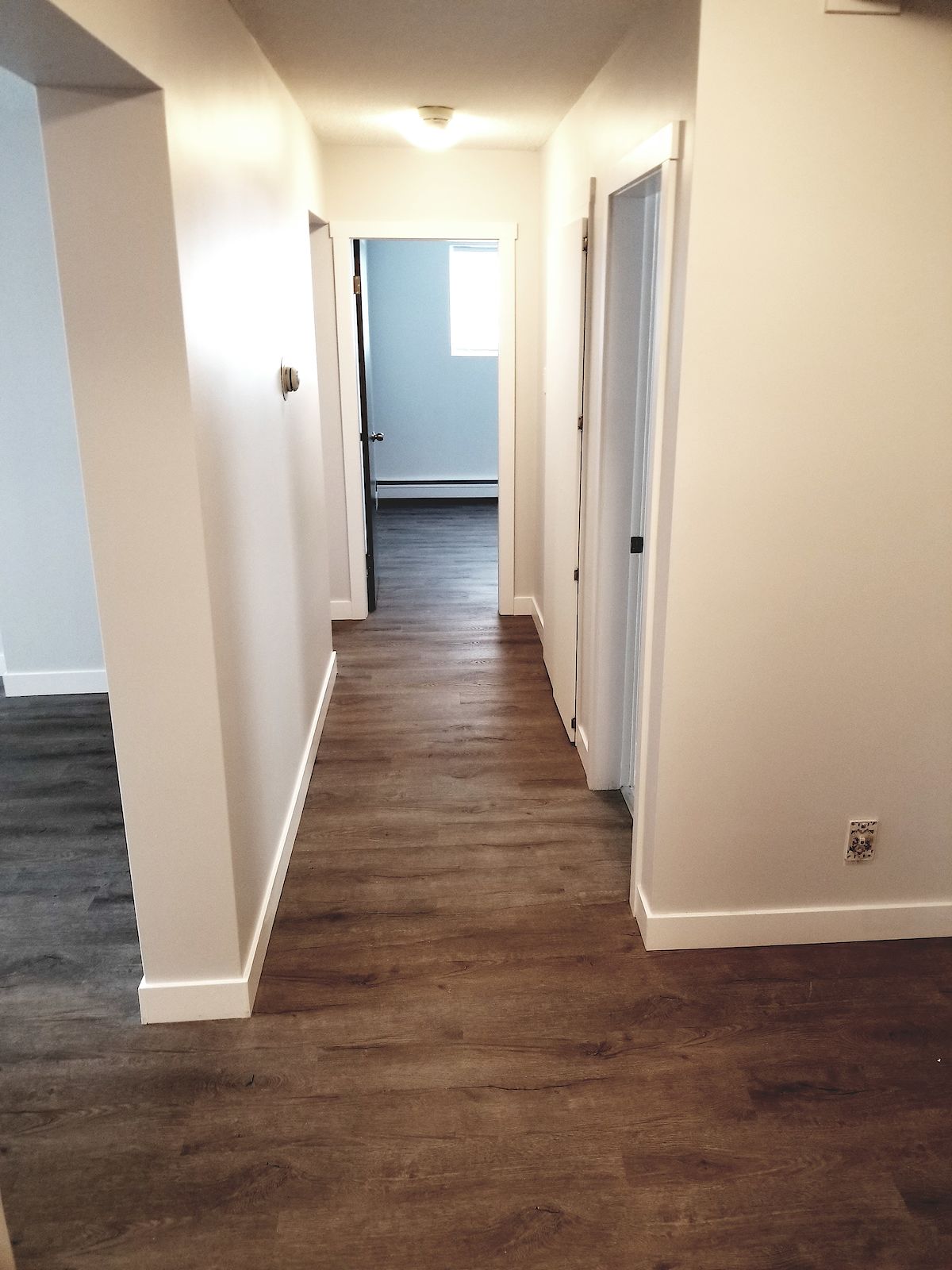 Edmonton Pet Friendly Condo For Rent Forest Heights Fully