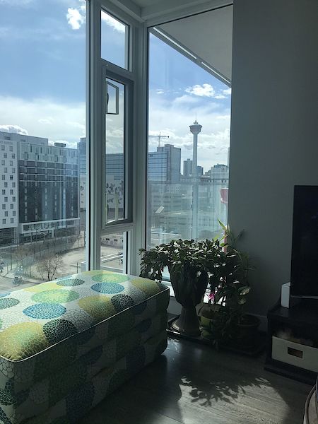Calgary 2 bedrooms Apartment for rent. Property photo: 410011-2