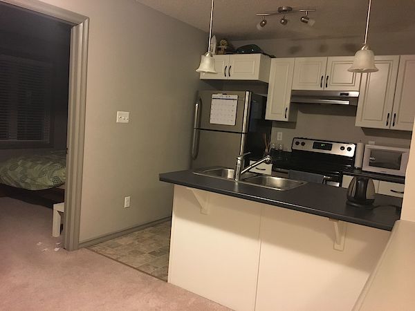 Edmonton 1 bedroom Condo Unit for rent. Property photo: 416800-3