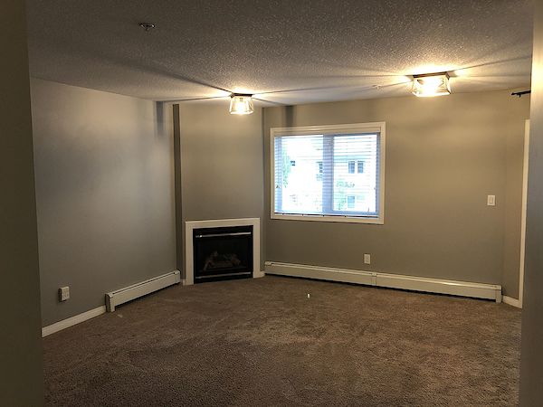 Edmonton 1 bedroom Condo Unit for rent. Property photo: 423569-3